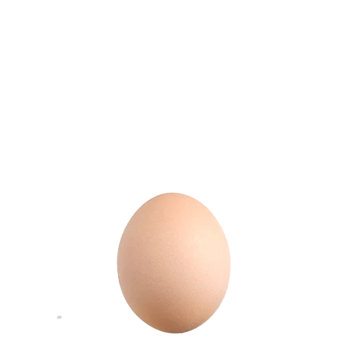 Imagem: Ovos biológicos