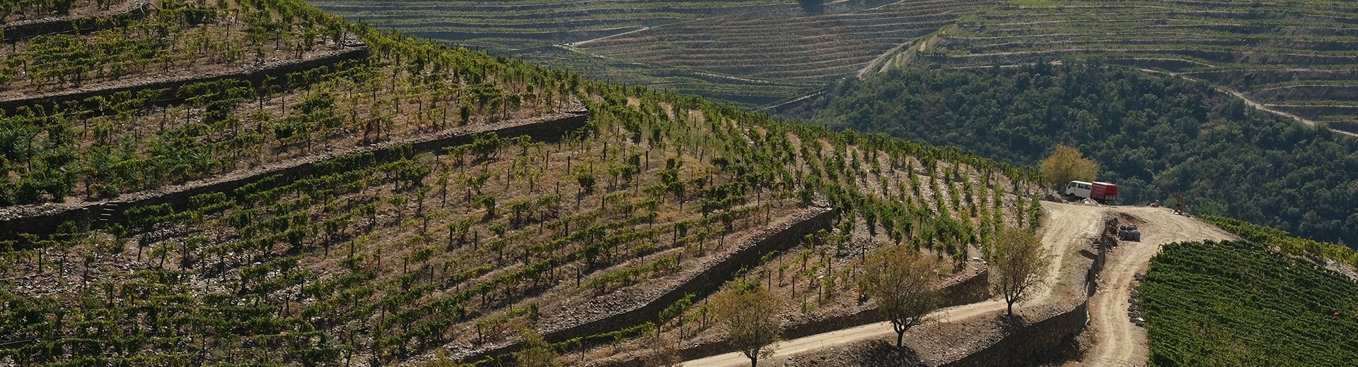 Vinhos do Douro e Porto